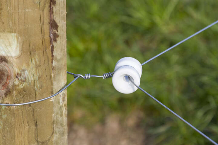 KERBL Porzellan-Eckisolator